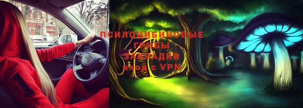 эйфоретик Новодвинск