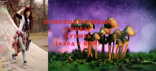 соль ск Абаза