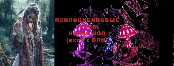соль ск Абаза
