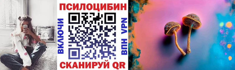 mega ТОР  Александровск  Галлюциногенные грибы Psilocybine cubensis 