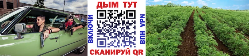 hydra ONION  Александровск  Каннабис план 
